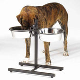 Adjustable Dog Bowls 160 ounce