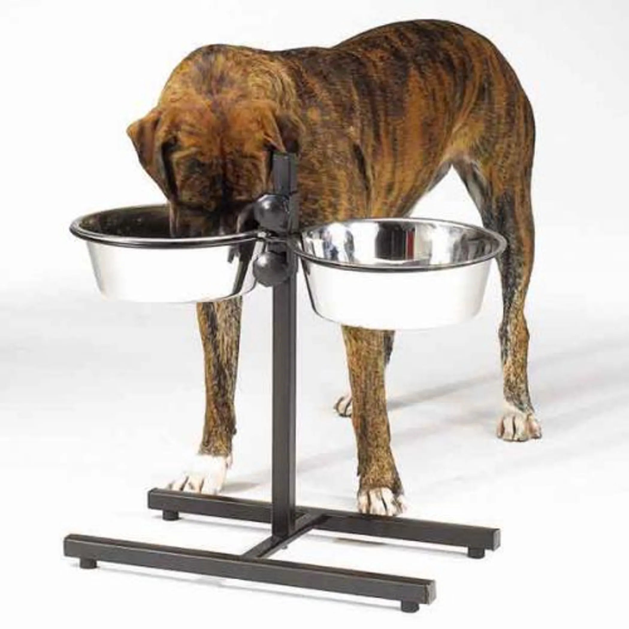 Adjustable Dog Bowls 160 ounce