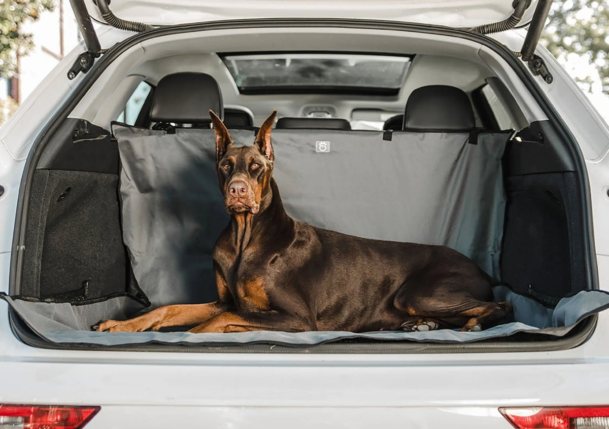 Pet Cargo Area Vehicle Cover